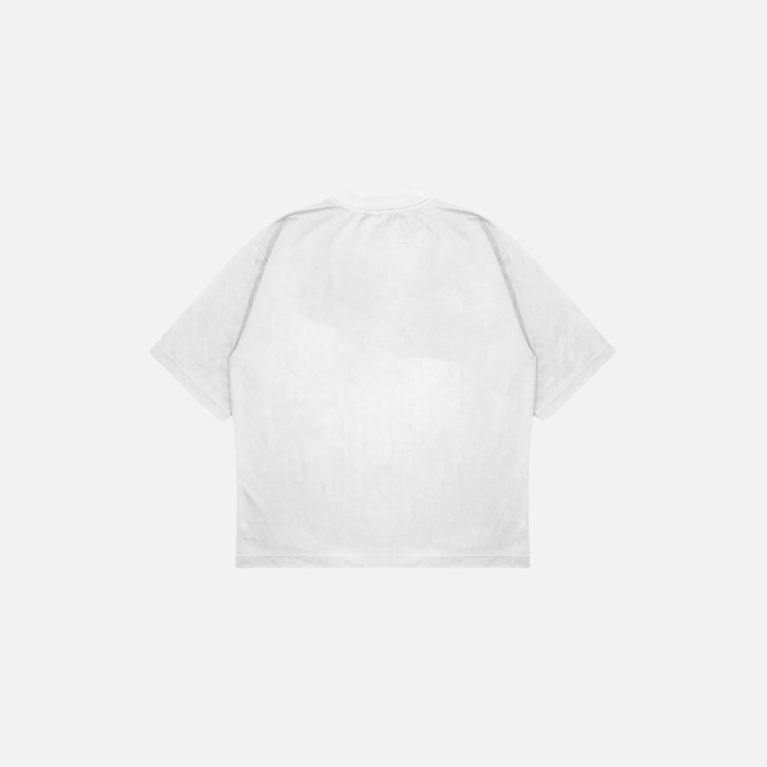 A Bathing Ape x Stussy T-Shirt